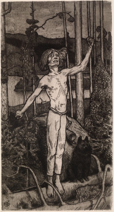  door Akseli Gallen-Kallela
