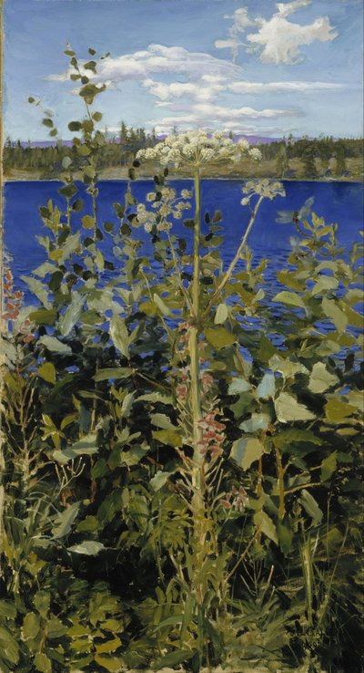 Wilde engelwortel door Akseli Gallen-Kallela