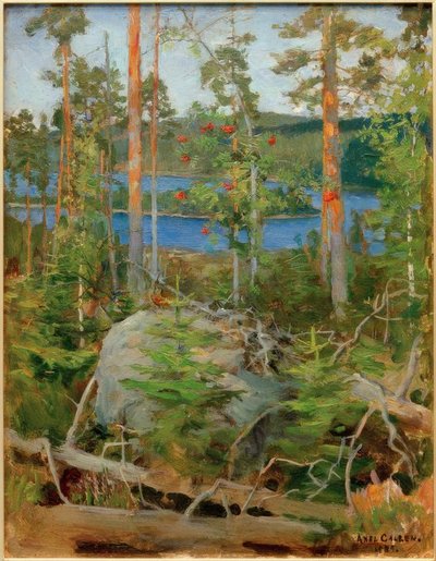 Uitzicht op het Jamajärvi-meer door Akseli Valdemar Gallen Kallela