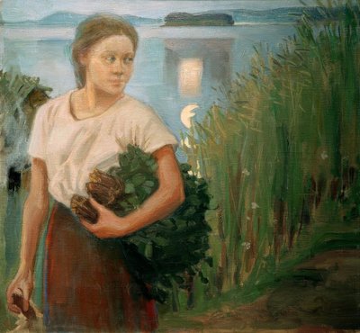 Het saunameisje door Akseli Valdemar Gallen Kallela