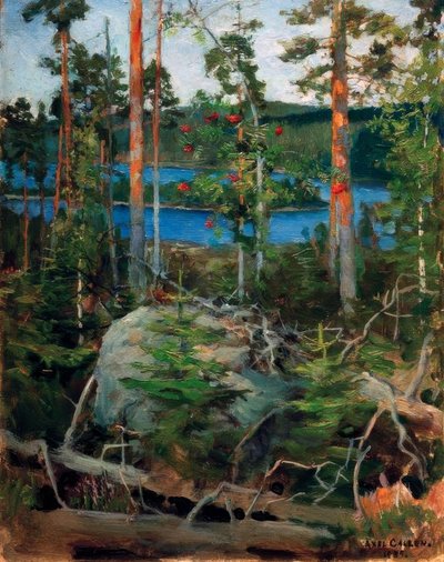 Landschap bij het Jamajärvimeer door Akseli Valdemar Gallen Kallela
