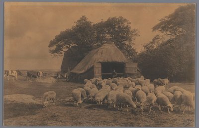 Landschap met schapen, koeien, boer en schaapskooi, Nederland door Alb. Kapteijn