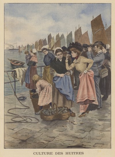 Oesters oogsten in Cancale, Bretagne door Albert Besnou