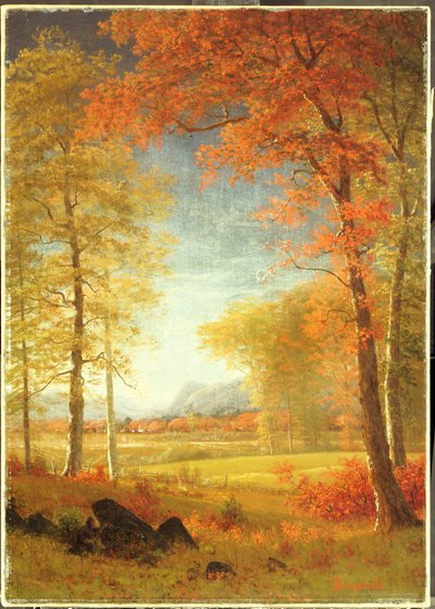 Herfst in Amerika, Oneida County, New York door Albert Bierstadt