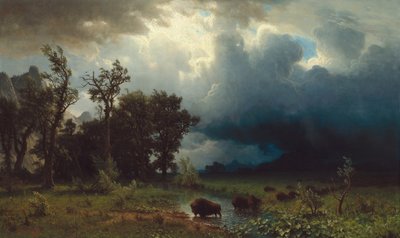 Buffelspoor: De naderende storm door Albert Bierstadt