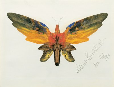 Vlinder door Albert Bierstadt