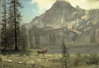 Roep van de wildernis door Albert Bierstadt
