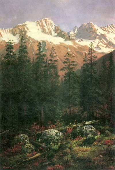 Canadese Rockies door Albert Bierstadt