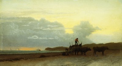 Kustzicht, Newport, 1861 door Albert Bierstadt