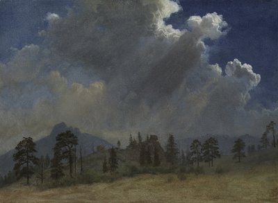 Dennenbomen en stormwolken door Albert Bierstadt