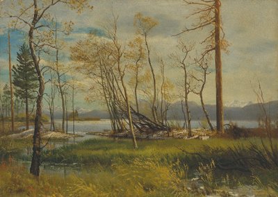 Meer van Tahoe door Albert Bierstadt
