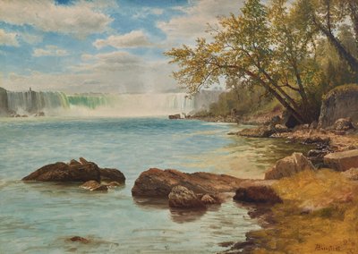 Niagara Falls met Terrapin Tower, c.1869 door Albert Bierstadt