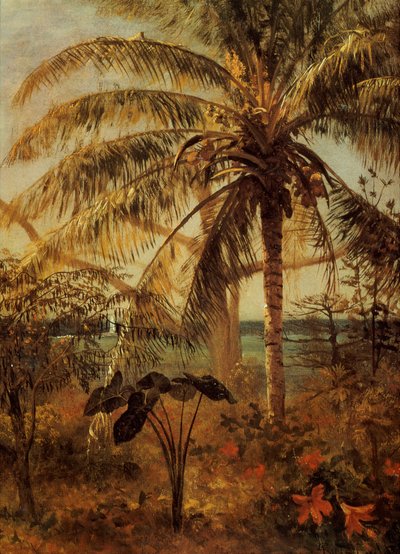 Palmboom, Nassau, 1892 door Albert Bierstadt