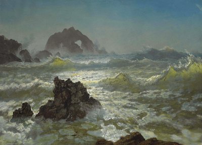 Seal Rock, Californië door Albert Bierstadt