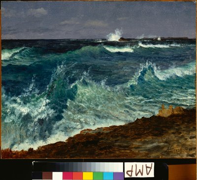 Zeegezicht door Albert Bierstadt