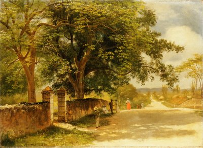 Straat in Nassau, ca. 1878 door Albert Bierstadt