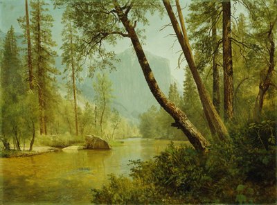Zonnig Bos door Albert Bierstadt