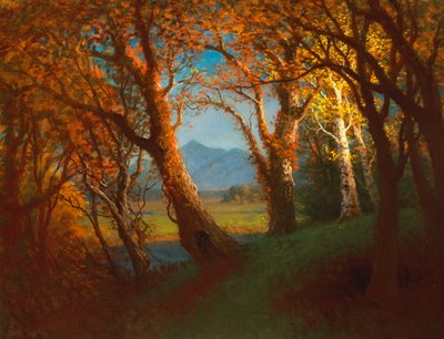 Zonsondergang in het Nebraska Territory door Albert Bierstadt