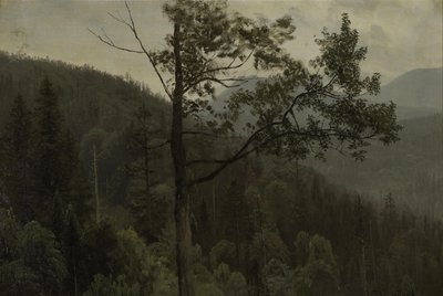 Met bomen begroeide bergen door Albert Bierstadt