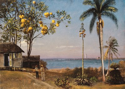 Tropische scène door Albert Bierstadt