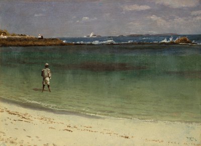 Kustgezicht van West-Indië, ca. 1880-93 (olieverf op papier gemonteerd op vezelplaat) door Albert Bierstadt