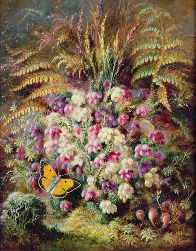 Klokheide door Albert Durer Lucas