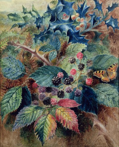 Braambessen en hulst met een vlinder door Albert Durer Lucas