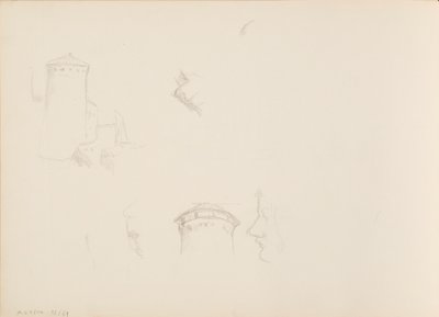 Ontwerpen van planten, Savonlinna Toren door Albert Edelfelt