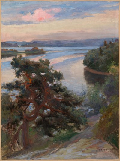  door Albert Edelfelt