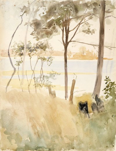  door Albert Edelfelt