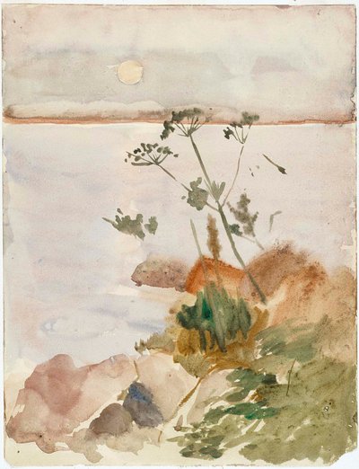  door Albert Edelfelt