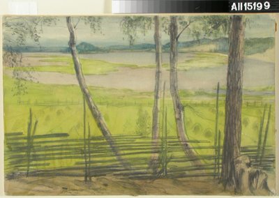Zomerlandschap door Albert Edelfelt