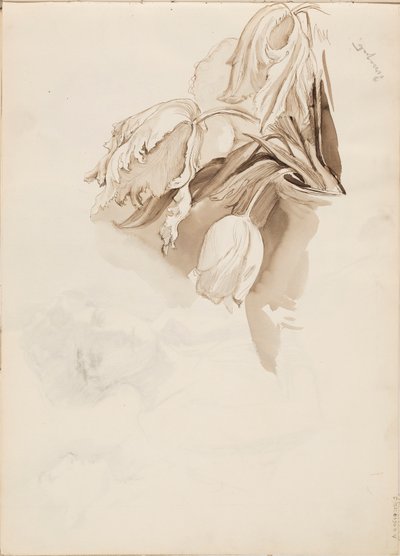 Tulpen door Albert Edelfelt