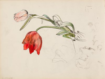 Tulpen, gezicht research papers door Albert Edelfelt