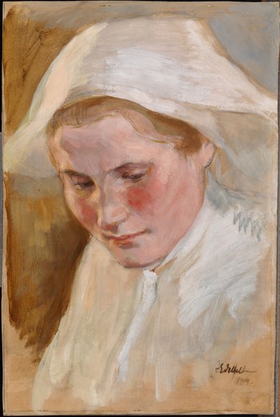  door Albert Edelfelt