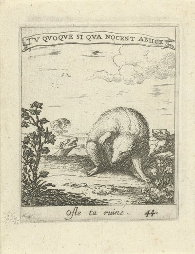 Das ontsnapt aan wolven door Albert Flamen