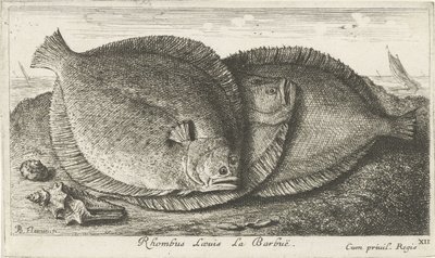 Drie grieten op het strand Vissen en andere zeedieren - zoutwater derde reeks Poissons de mer door Albert Flamen