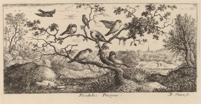 De Goudvink door Albert Flamen