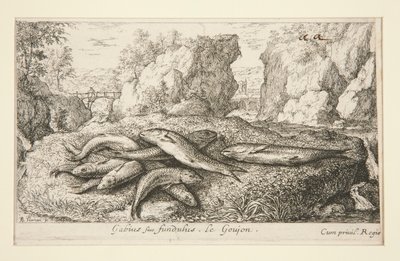 Gabius siue fundulus. Le Goujon door Albert Flamen