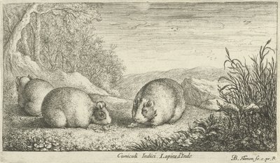 Knaagdieren door Albert Flamen
