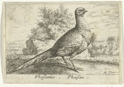 Landschap met fazant door Albert Flamen