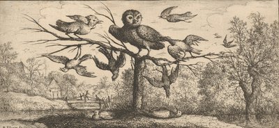 Monedula, Chouëtte De Uil: Livre d