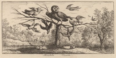 Monedula, De Uil door Albert Flamen