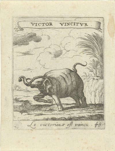 Olifant en slang door Albert Flamen