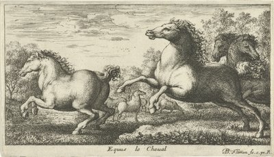 Paarden door Albert Flamen