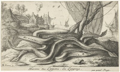 Rivierprikken op een oever door Albert Flamen