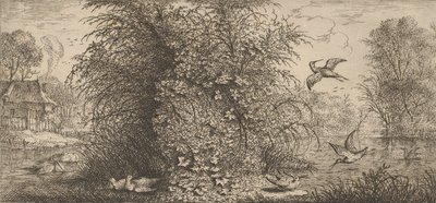 Rusticula minor, Beccassine De Snip: Livre d