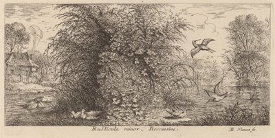 Rusticula minor, de snip door Albert Flamen