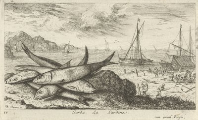 Sardines op het strand door Albert Flamen