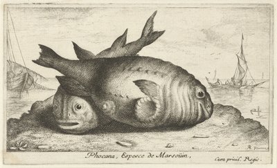 Twee bruinvissen op het strand door Albert Flamen